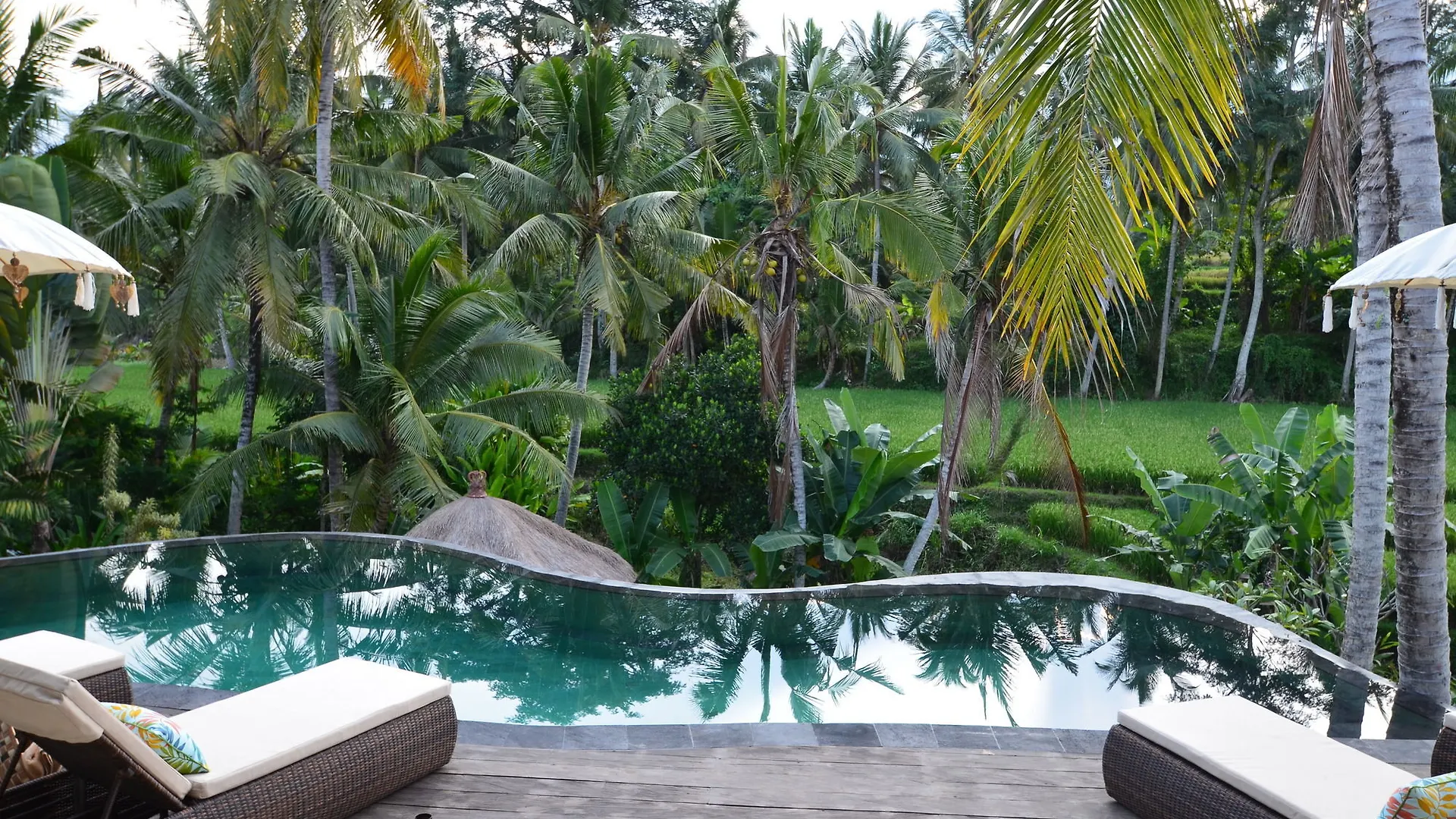 מלון Calma Ubud Suite & Villas - Rice Fields View, Infinity Pool !
