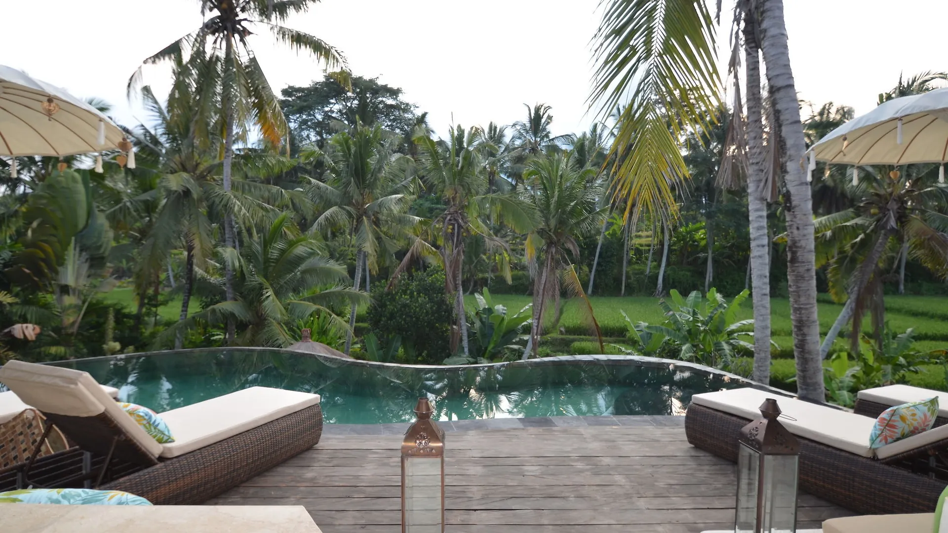 Hotel Calma Ubud Suite & Villas - Rice Fields View, Infinity Pool !
